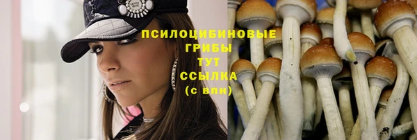 СК Бронницы