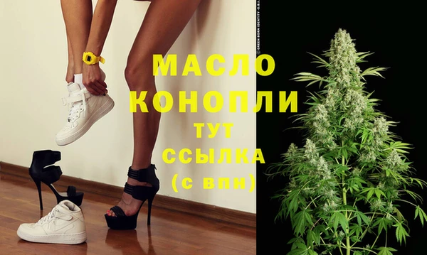 СК Бородино