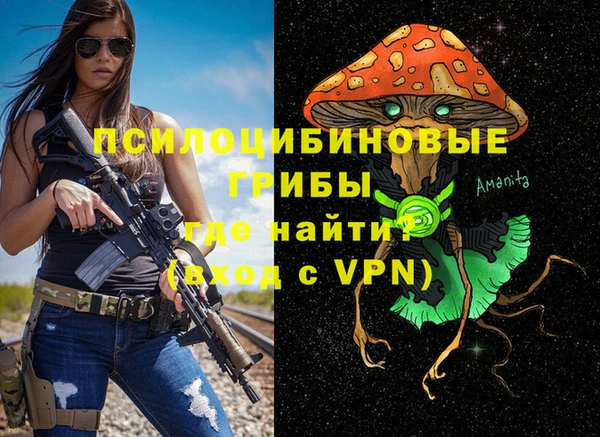 СК Бородино
