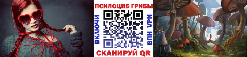 Галлюциногенные грибы Psilocybe  Новохопёрск 